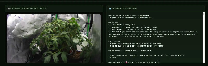 Random Thoughts - 20260109IntroductionWelcome to follow my channel, where I occasionally share random messages